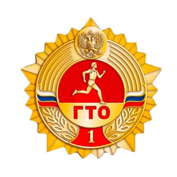 Выдача золотых знаков ГТО.
