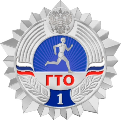 Торжественное награждение участников комплекса ГТО серебряными знаками.