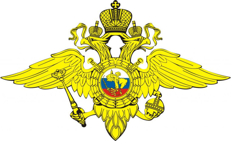 МОМВД России «Козельский» информирует. МОМВД России «Козельский» информирует.